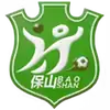 保山队