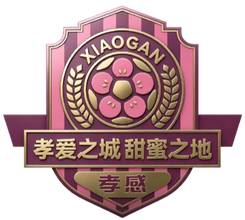 孝感队