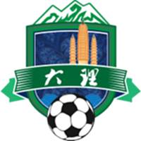 大理队